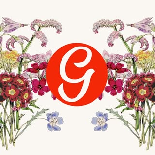 Ggerza logo