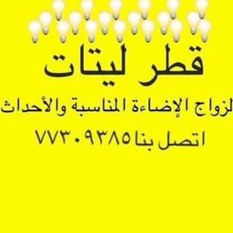 Marriage Lighting Occasion logo