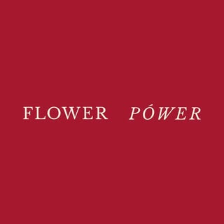 Flower Power Dubai logo