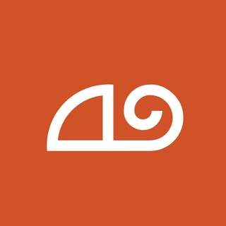 Practical logo