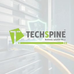 Techspine logo
