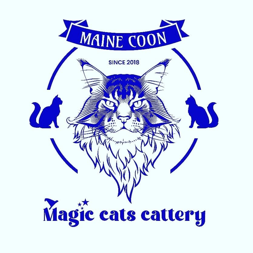 Magic Cats Maine Coon Cattery logo