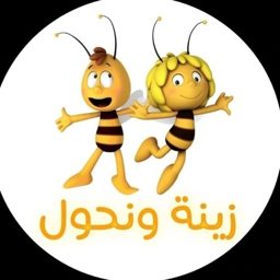 Zaina Toys logo