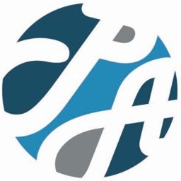 Professional Auto logo