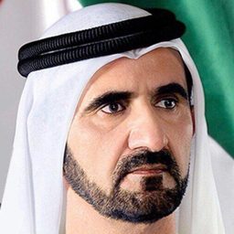 Dubai Numbers logo