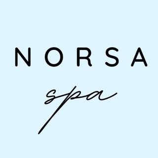 Norsa Spa logo