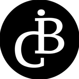 iBrandConnect logo