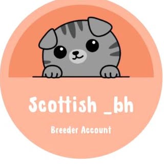 Scottish BH logo