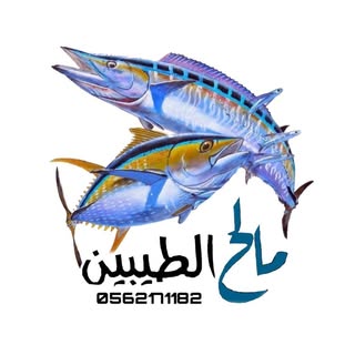 مالح الطيبين logo