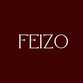 Feizo logo