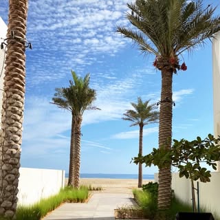 The White Villa Fujairah logo
