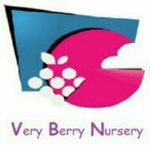 Very Berry Nursery logo