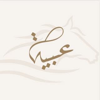 3biia Events logo