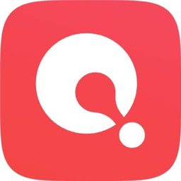 theQapp logo