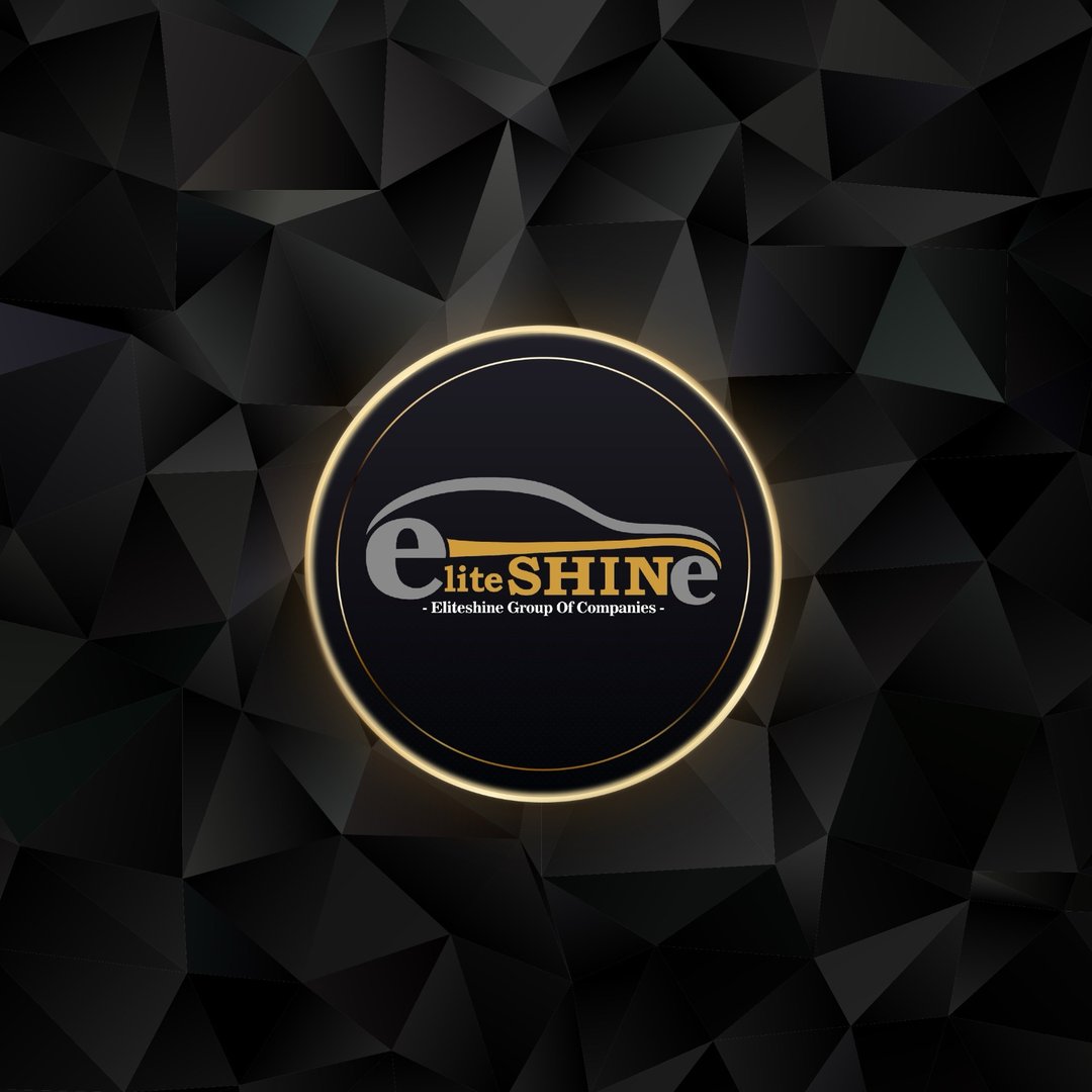 EliteShine logo