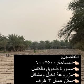 Alsayyad Real Estate logo