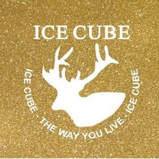 Ice Cube logo