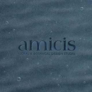 Amicis logo