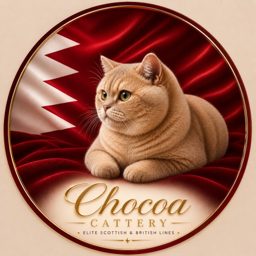Chocoa Cattery logo