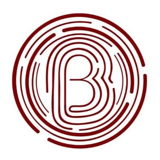 Brilliant Boutique logo