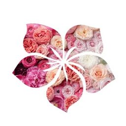 In Bloom logo