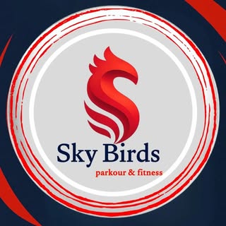 Sky Birds Parkour & Fitness logo