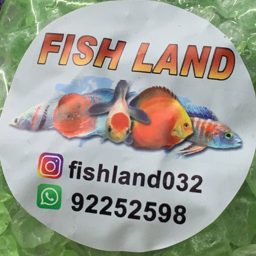 Fishland logo
