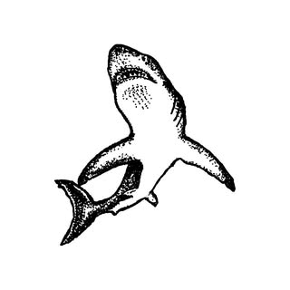 Cartel Coffee Roasters logo