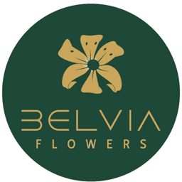 Belvia Flowers logo