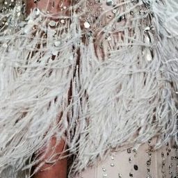 Tulle and Feathers logo