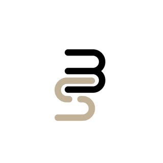 B&S Station Salon logo