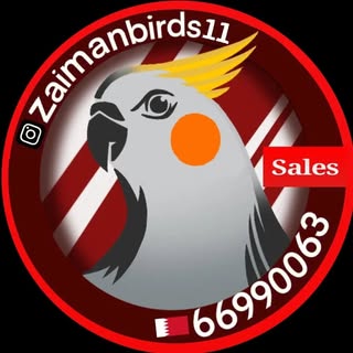 Zaiman Birds logo