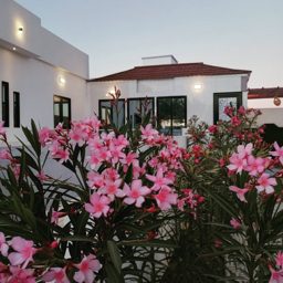 Reem Al Suwaiq Resthouse logo
