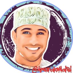 عامر العويسي logo