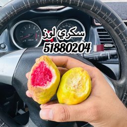 Arabian Fruit Qatar logo