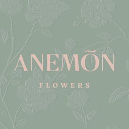 Anemon logo
