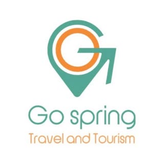 Go Spring logo