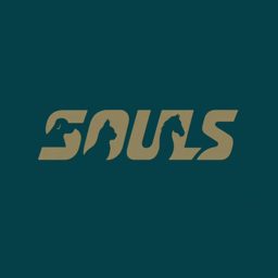 Souls Care logo