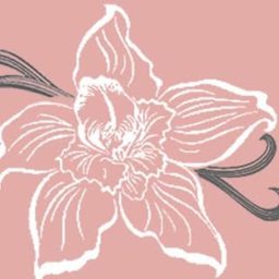 ڤانيلا الفرح logo