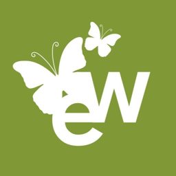 E-Walls Studio logo