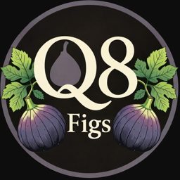 Q8 Figs logo