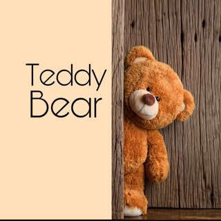 Teddy Bear Parties logo