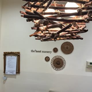 The Nest Nursery logo