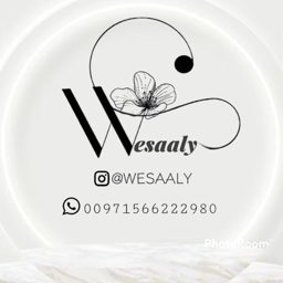 Wesaaly logo