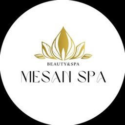 Mesan Spa logo