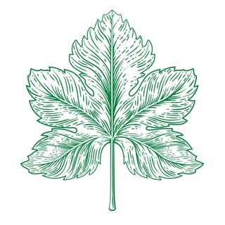 ᴍᴀʜꜱʜʏ ꜱᴛᴀᴛɪᴏɴ - محشي ستيشن logo