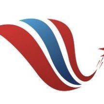 Visa Shine Services logo