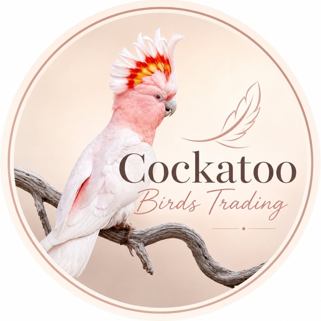 Cockatoo Birds Trading logo