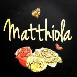 Matthiola Flowers logo