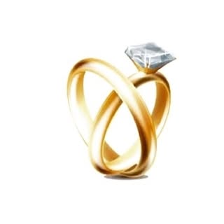 Alnemer Gold logo